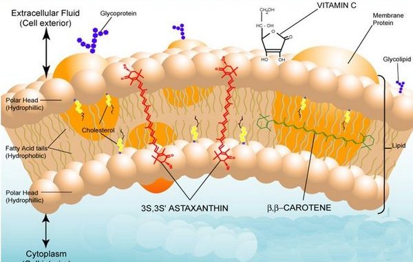 Astaxanthin natural